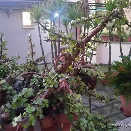 Vacanze, La Casa Di Angelo, Con Terrazzo Oria (Brindisi)